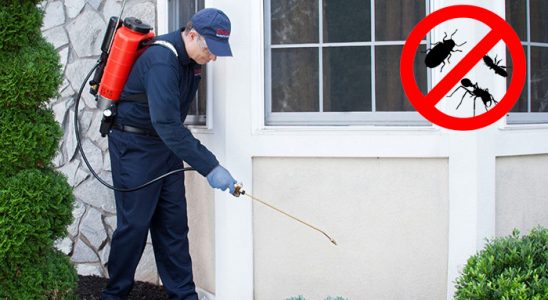 Ayvalık Kemirgen İlaçlama böcek ilaçlama ve haşere kontrolü — ilaclama-tr.com